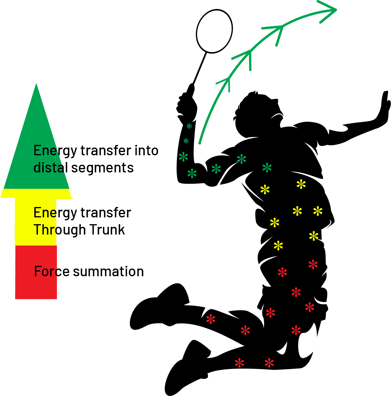 How different balance types of rackets affects the energy transfer in badminton.