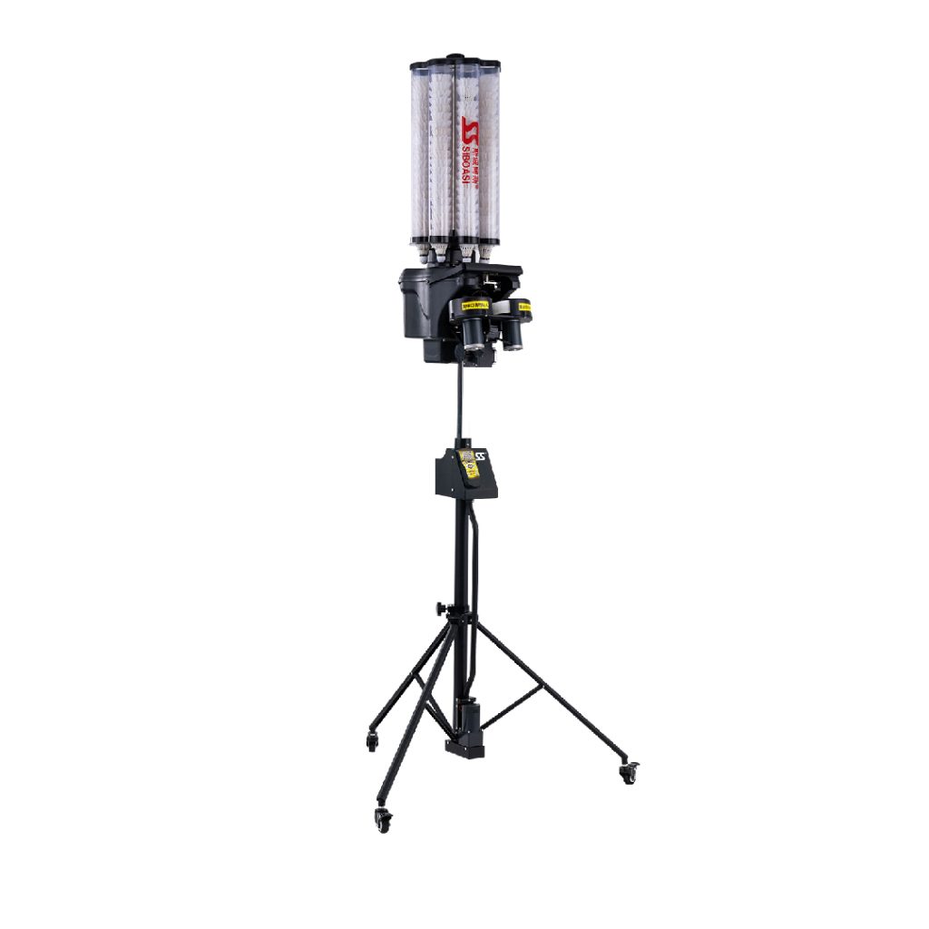 Express Delivery (+£300.00)