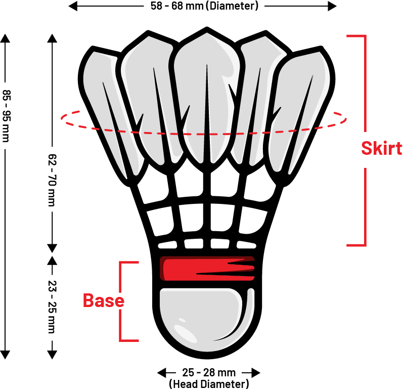 Badminton Shuttlecock, its components and shuttlecock dimensions.